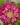 71qIsEMnf4L._SL1440_-1.jpg
