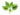 Basil-Vegetable-Seeds-1.jpg