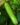 Bottle-Gourd-Vegetable-Seeds-2-1.jpg
