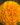 Double-Orange-African-Marigold-Flower-Seeds-2.jpg
