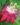 Passion-Flower-Pink-Creepers-Climbers-1.jpg