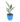 bird-of-paradise-flower-01_2-1.jpg