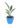 bird-of-paradise-flower-01_2-1.jpg
