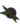 bird-of-paradise-flower-02_2-1.jpg