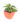philodendron-oxycardium-varigated-01_1_1-1.jpg